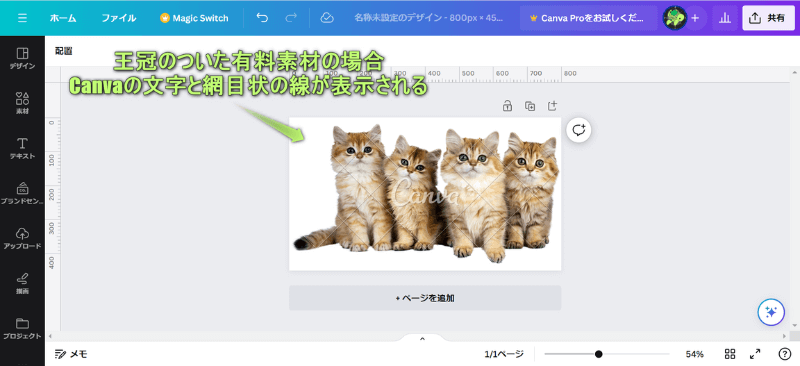 有料素材にCanvaの文字と網目状の線が入っている様子