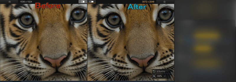 Aiarty Image Enhancerでノイズ除去や顔補正する前と後のトラの画像